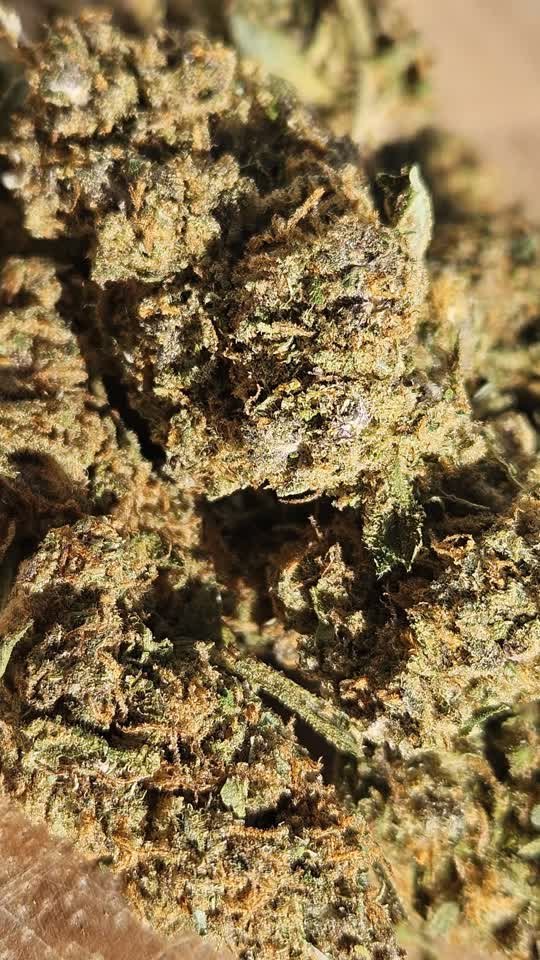 Fleur CBD Candy Kush (2)
