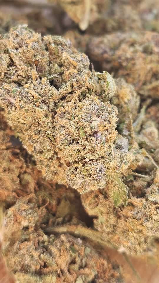 Candy Kush