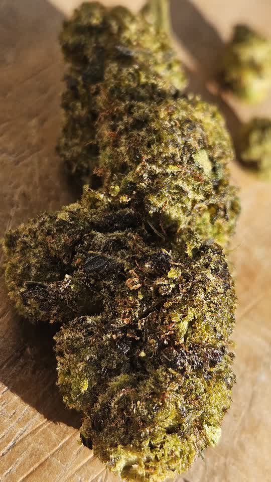 Fleur CBD Monster RVLT (2)