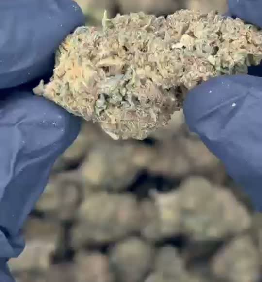 Silver Haze