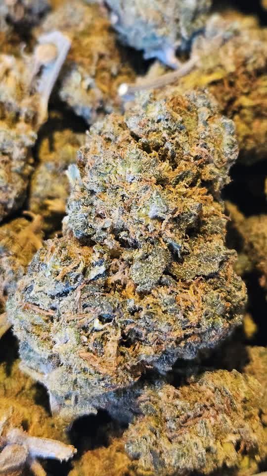 Vanilla Kush