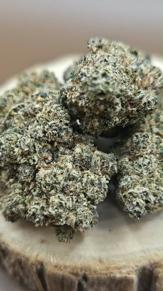 White Widow